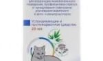 Uklidňující pro kočky: jaké léky a kdy lze použít